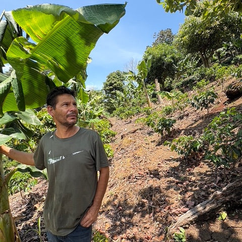 Honduras Joel Guzman Geisha
